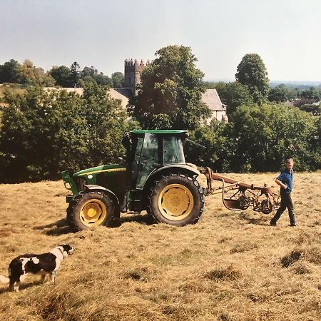 Carey'S Bar & Farmhouse Kilkenny Border Oldleighlin エクステリア 写真
