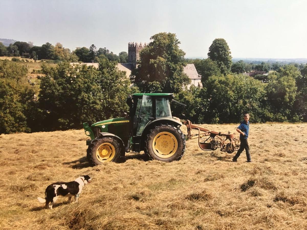 Carey'S Bar & Farmhouse Kilkenny Border Oldleighlin エクステリア 写真