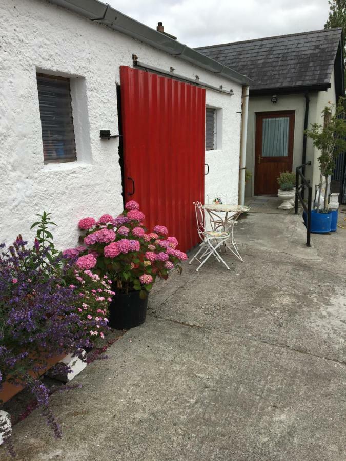 Carey'S Bar & Farmhouse Kilkenny Border Oldleighlin エクステリア 写真